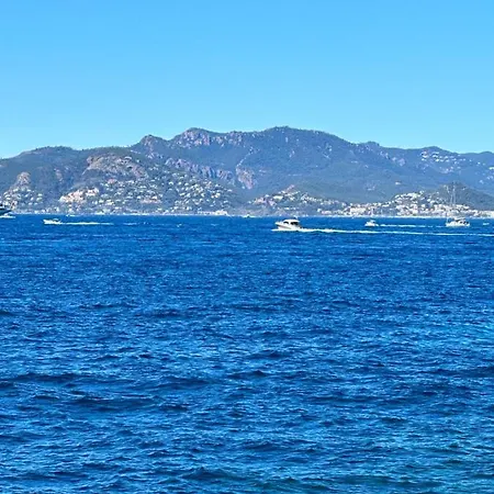 Studio Croisette Palais Miramar